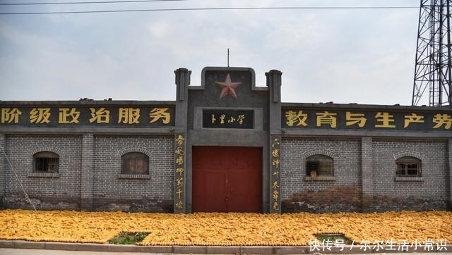  「玉米」国庆假期里的河南乡村，柿子挂满枝头，街道被玉米占领