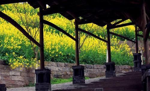 重庆与四川的渊源：为何“川美、川外”不改名叫“重美、重外”？