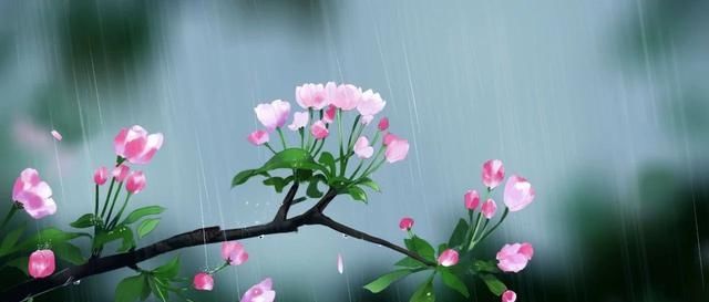 七首恬淡：去留本无意，心静即是禅