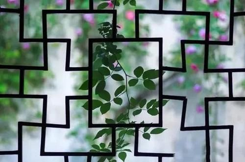  #拍摄#诗意摄影，如何把“檐下窗棂斜映枝桠，与你席地对座饮茶”拍摄得如诗如画？