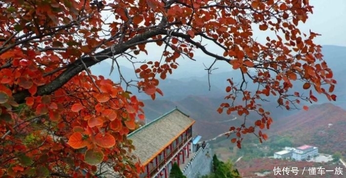 「扩散」一般人我都会告诉他！山西最美的秋色，都藏在这里