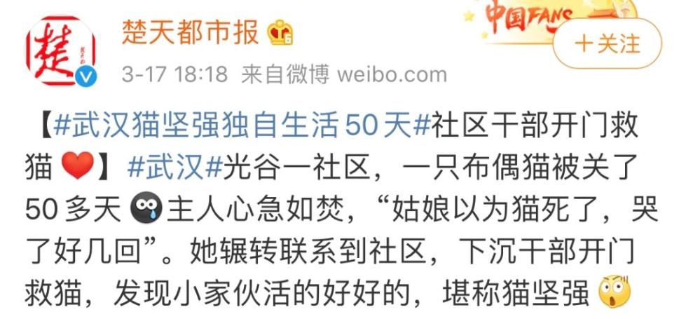 感染■一家七口感染新冠，猫咪独自守家40天，回家这一幕让他们惊呆了