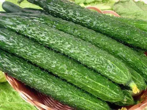 【辟谣】食物相克??NO!看这里?