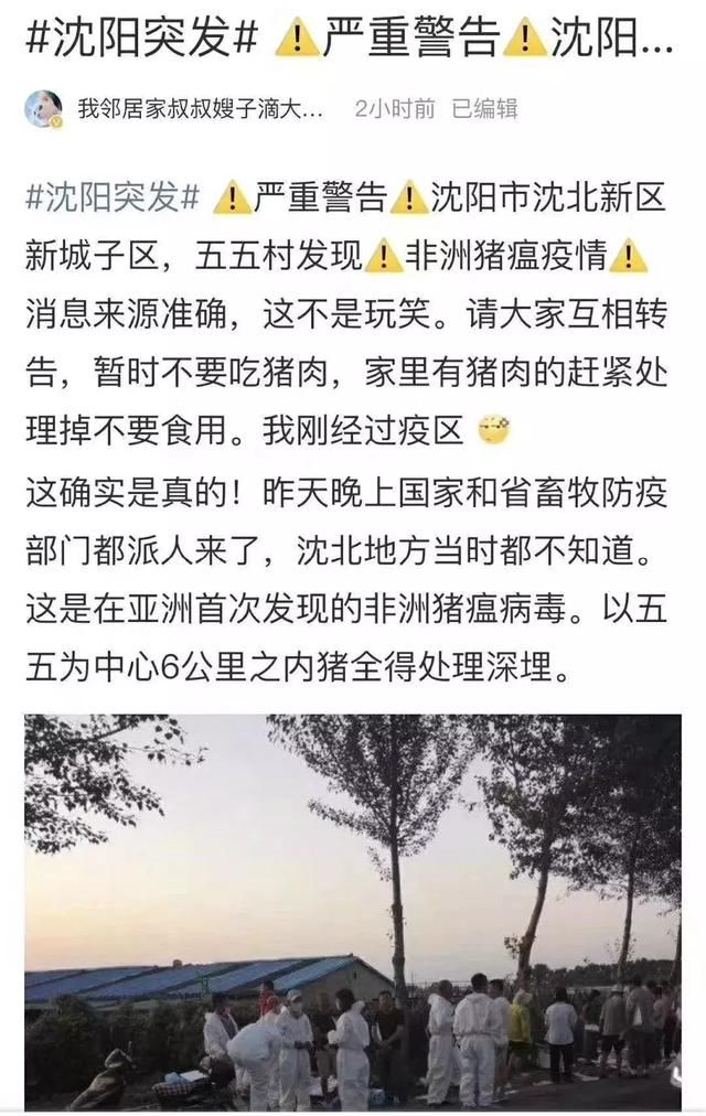 非洲猪瘟流传全国？不！请擦亮你的眼睛，做一个不信谣不传谣的人
