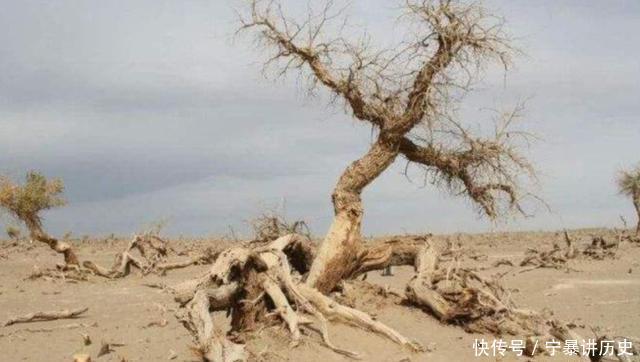 如果人类找到把沙漠挖空的办法,那沙漠最底下会是什么?涨知识了