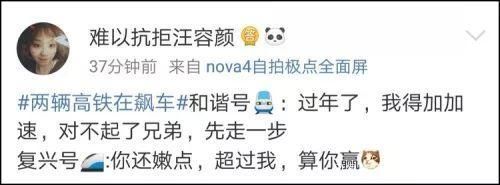 喂！110吗？有俩高铁在“飙车”？时速300公里那种！