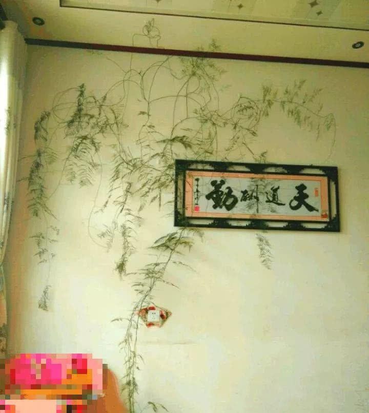  窗帘@9种瀑布花，没光也能挂满墙，连窗帘都省了！