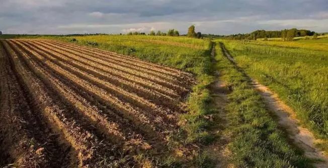 国家给500元一亩，让农民别种地？2019年这项政策要加大力度！