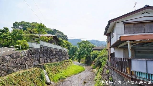 隐于市的日本这座寺庙，是日本人求姻缘的首选，也是赏花的好地方