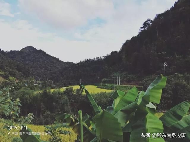 跟着秋的脚步，踏进了稻谷飘香的花院！