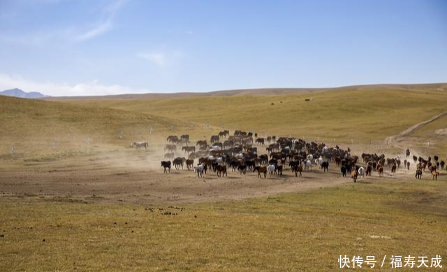 亚洲最大、世界第二大的军马场，竟是霍去病征战匈奴时发现的