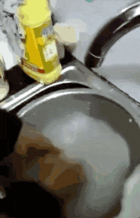 面条筋道是加了塑化剂？黄鳝吃避孕药长大？浙大食品系教授来辟谣
