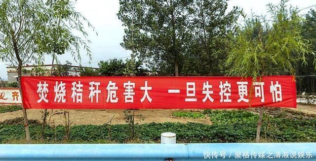  【秸秆】农民请注意！在农村这4种行为已经被禁止，有你的话千万