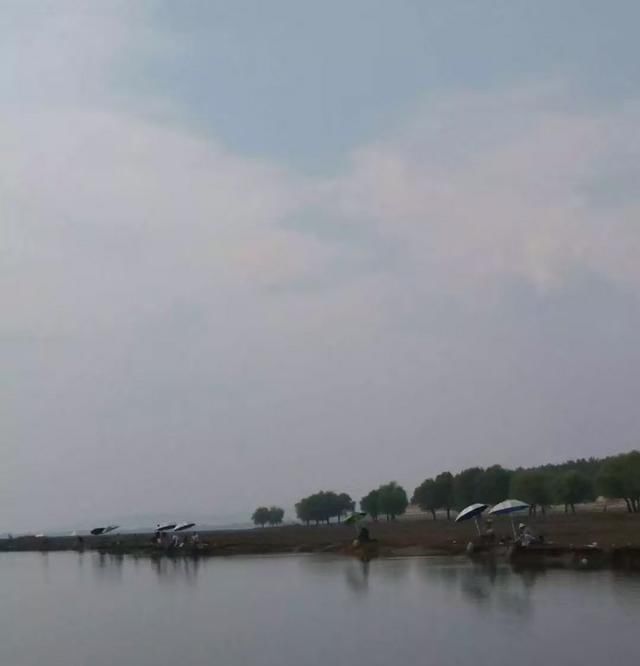 【水位上涨】春钓东洞庭湖附近水域,熟悉这些鱼情不空军