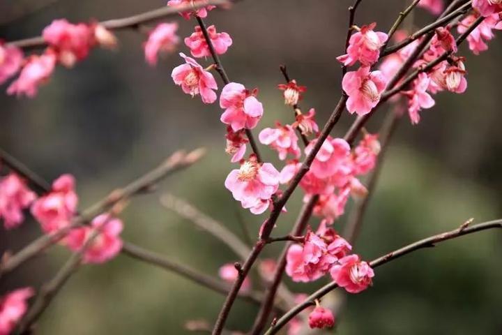 2019杭州最美旅游时间表出炉 承包你一整年的旅行！