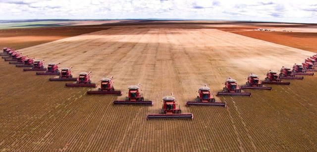  【世界】为什么美国赔偿金也要向中国出口粮食？ 用心险恶，值得