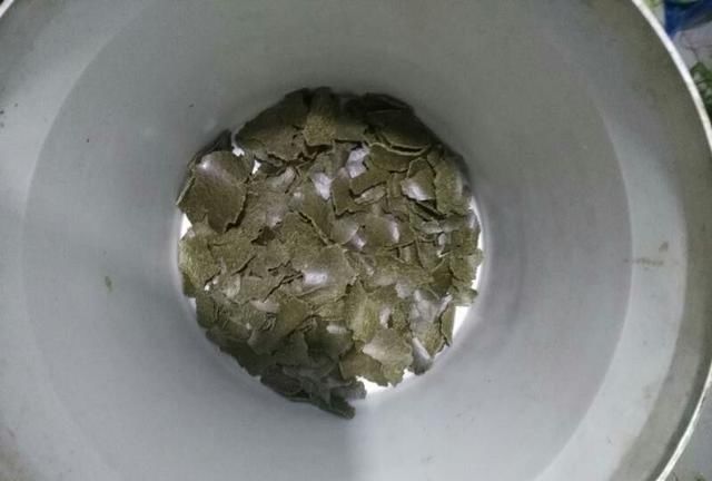  【自制】「自制鱼饵」窝料制作千千万，适合自己的才最佳