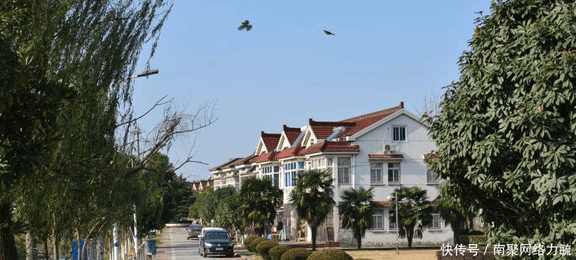 好好一个镇子被一条街分成两块, 江苏和安徽各管辖一个