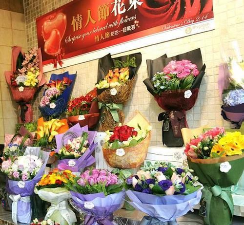  [室内]多年生的'万岁玫瑰'，花型似玫瑰，适合室内种，开花漂亮招人喜
