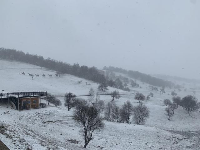 【点点】关山三月飘春雪，点点新绿披银装