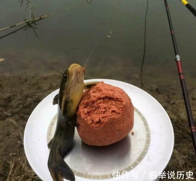  [子线]钓鱼太费钱所以能省就省在这几个环节省了钱，你多半会空军