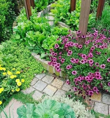  「花园」花园就是菜园，这才是种花的最高境界！