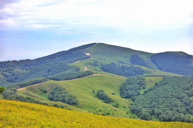 丰宁除了坝上草原，还隐藏着一个中国最美森林自驾者的天堂