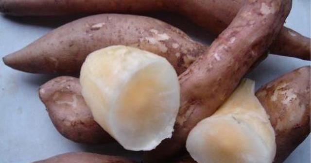 农民放弃玉米地，改种这种地下水果，一年销售三十多万斤