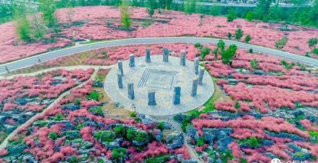 石头会呼吸 粉红花田上千亩 重庆这个景区一天穿越一亿年