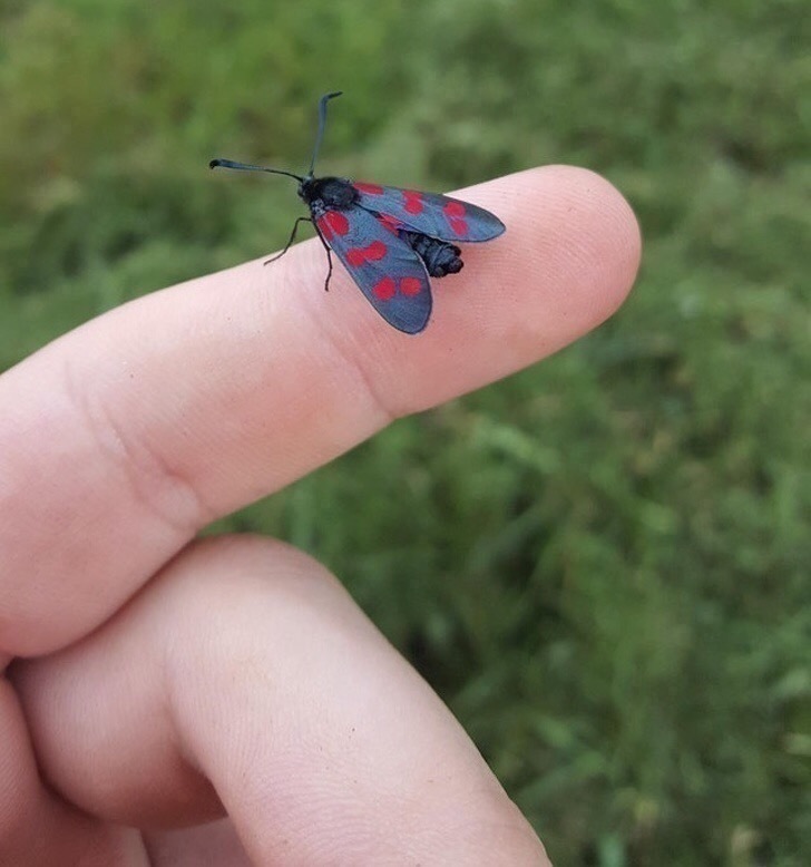 15张震撼的照片，让人不禁感叹世界的奇妙