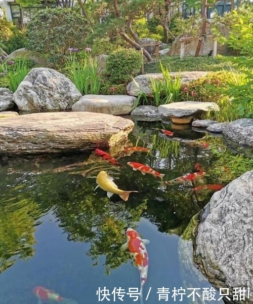  『生活』想有个带院子的房子，看花开叶落一辈子，让生活变成一件浪漫的事
