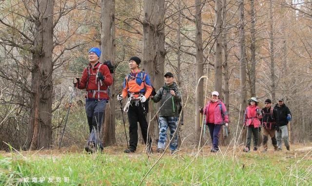 五一爬黄山，游客空手爬，驴友却拿两根棍？游客：难道不多此一举