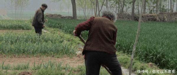 农村5大怪现象,城里人看不懂,老农民看不惯你们村有几种！