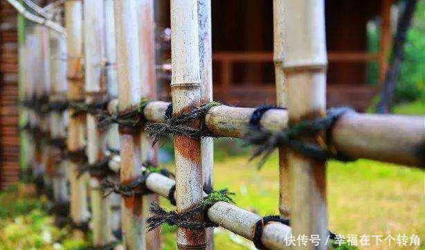  「快乐」篱笆小院住在乡村的快乐，你想体验吗！