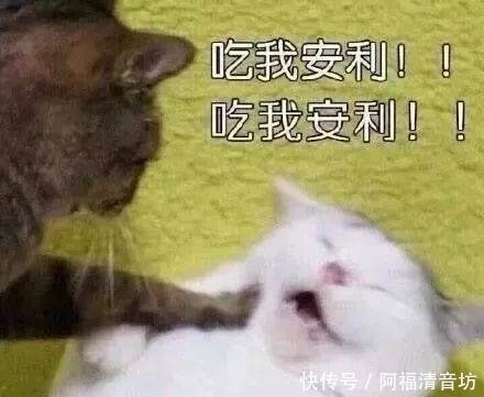 【条纹衬衫】25岁之后,你的衣橱一定要备着这5样东西!