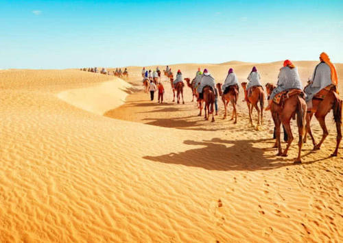 长在沙漠中的西瓜，为何没人食用？了解原因后打死也不吃