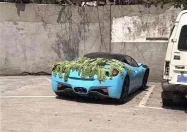  车上：大妈在百万豪车上晒腌菜，车不是自己的，车主过来后尴尬了……