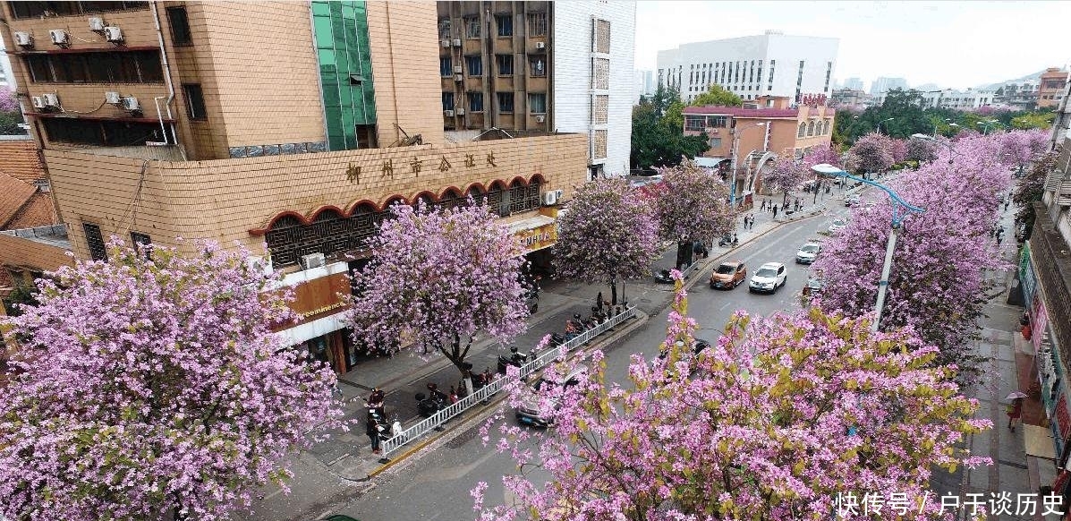  我国|直击我国南方最干净的五大城市, 你都去过几个