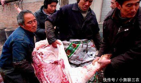  「收钱」再过半个月，农村有个行业又要火了，不收钱的生意一天