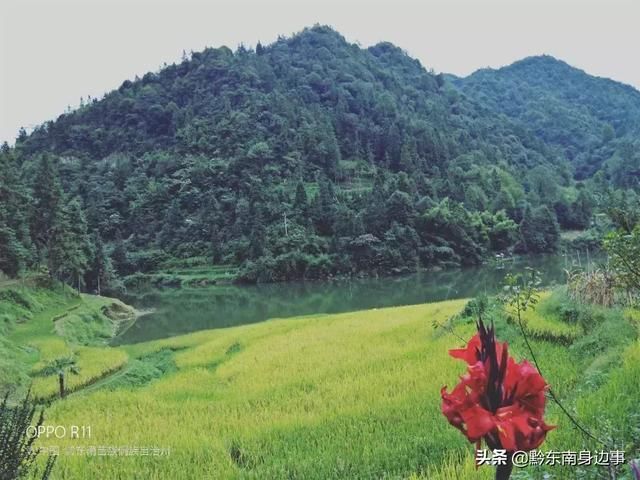 跟着秋的脚步，踏进了稻谷飘香的花院！