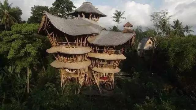 她用竹子建了一个别墅,引来全世界40多个国家围观