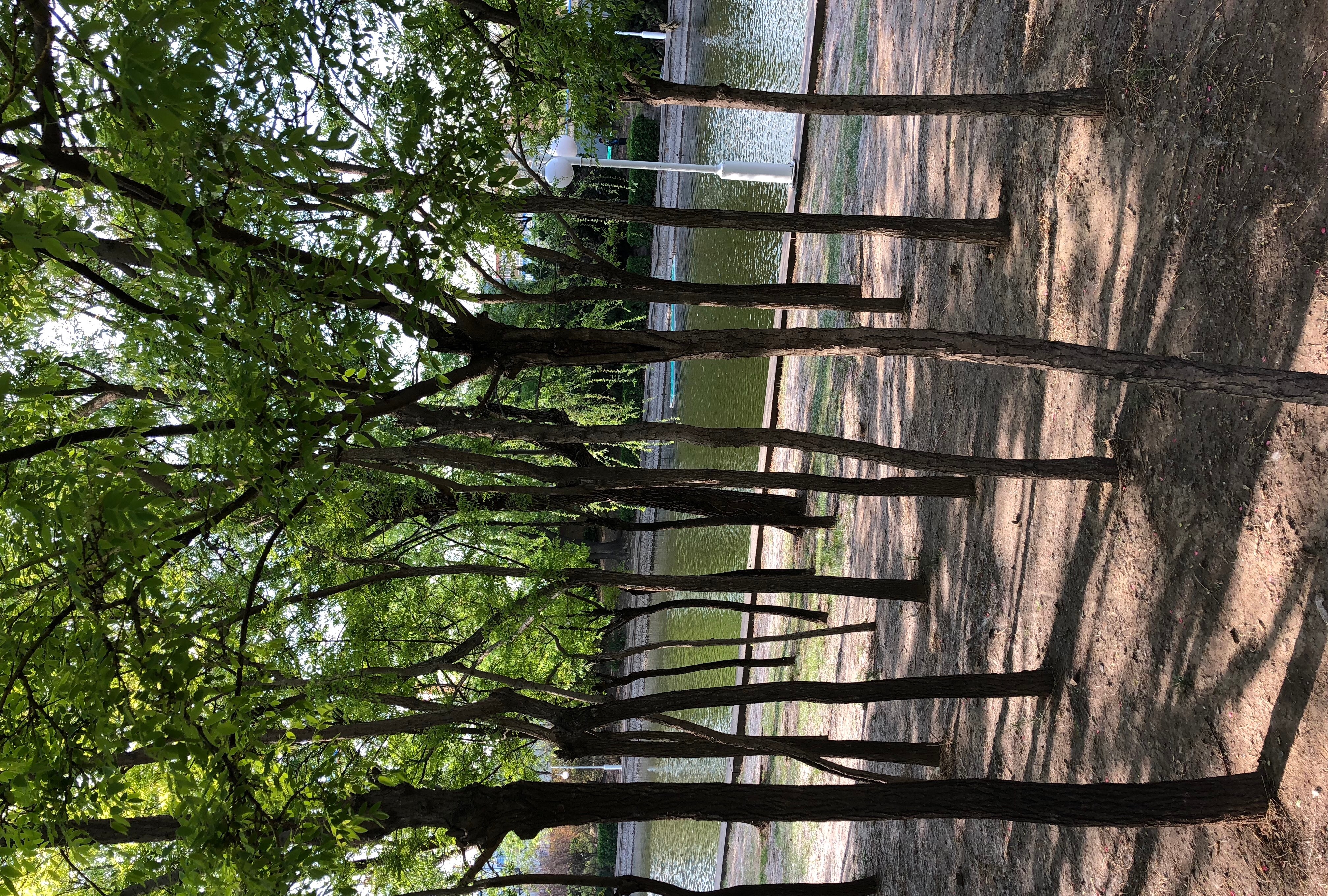 人间四月芳菲尽，一帘幽梦绿芳来