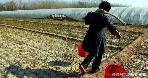  「山东省」山东省今年这么干旱，为什么国家不送黄河水