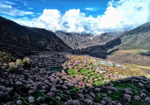 世外桃源般的旷世美景，藏着中国最美的春天