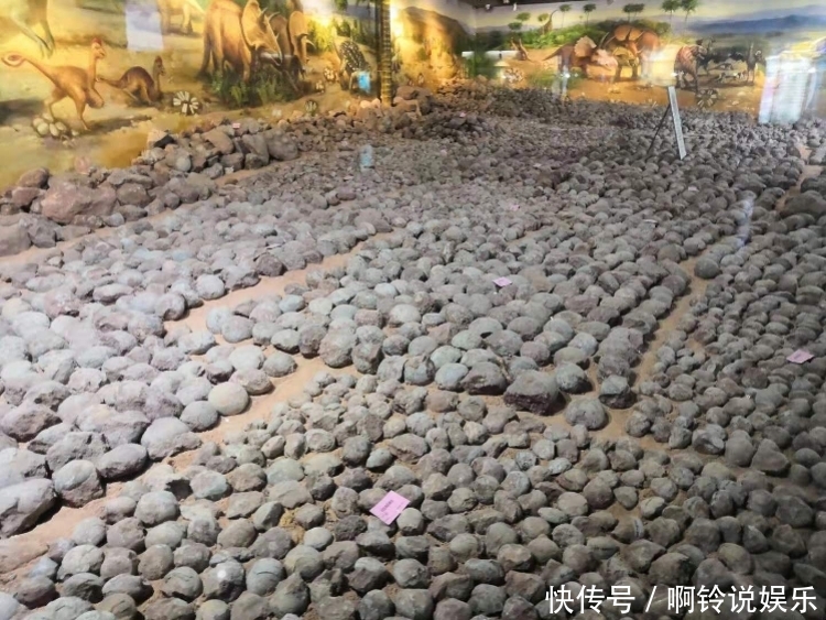 超震撼17000多枚恐龙蛋化石创下世界之最