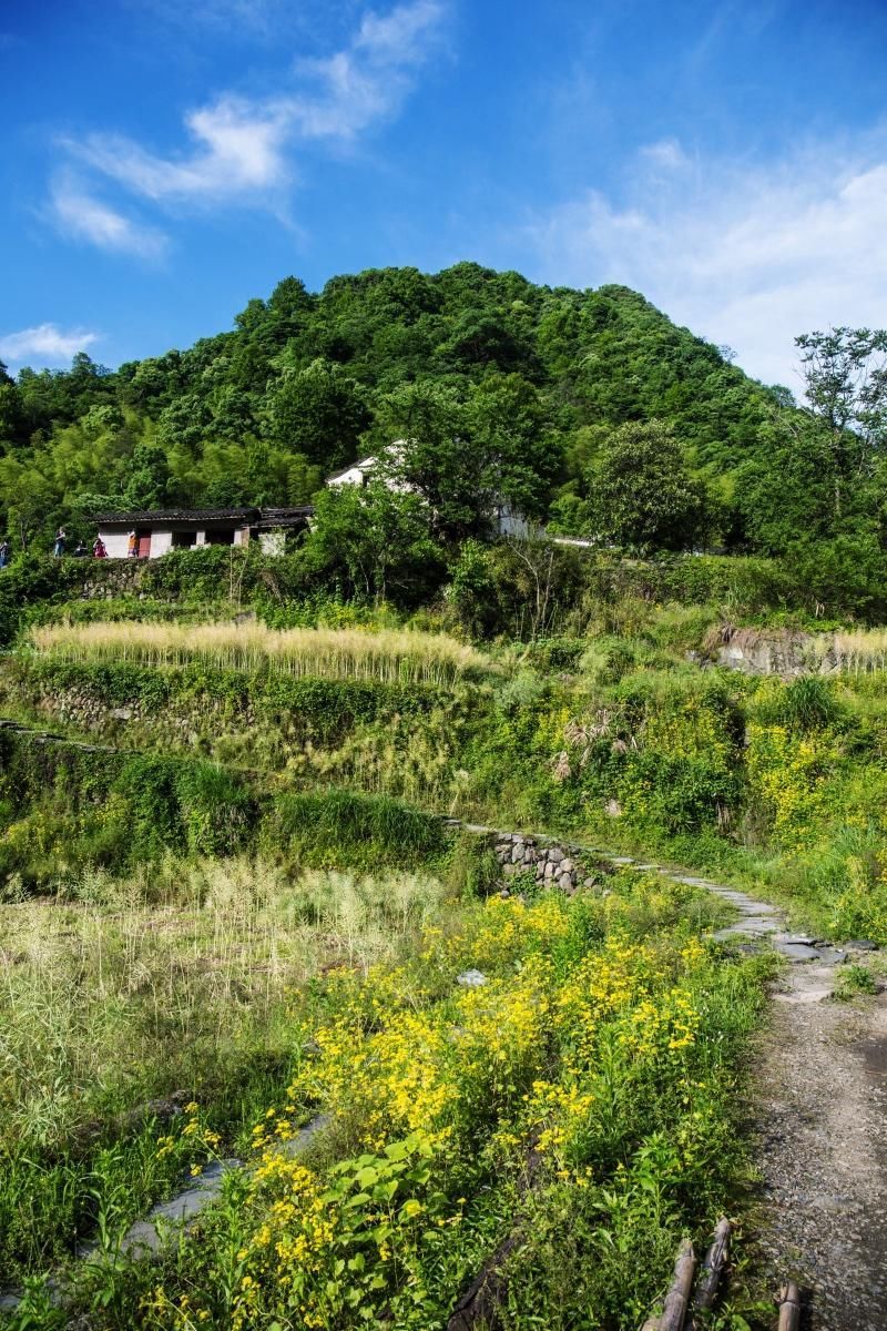 600多年的明朝古村落无人问津,是山高林深还是我们忘本