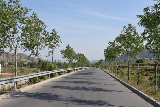  流峪镇：山水流峪 金银花乡 处处美景 遍地风光——平邑县流峪镇九道峪村