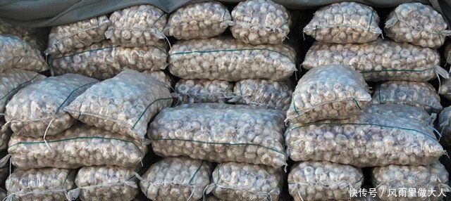 农村人种植的这种作物卖到12元1斤 农民却没有获利