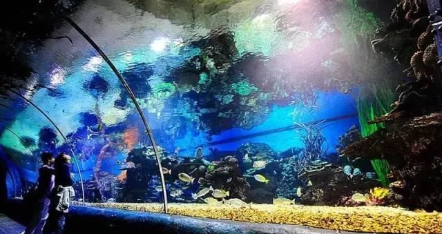  「慢慢」中国212个AAAAA景区全在这里, 存起来, 慢慢走完!