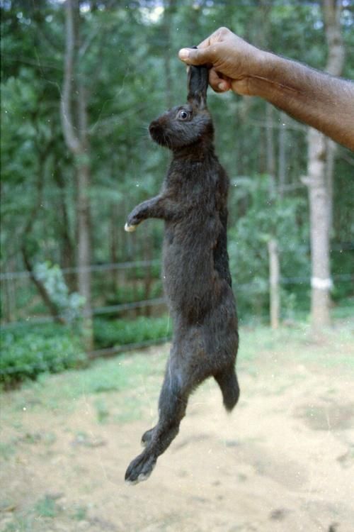 在摄影师15年的个人成长影像记录里，有原汁原味的印度南部风情